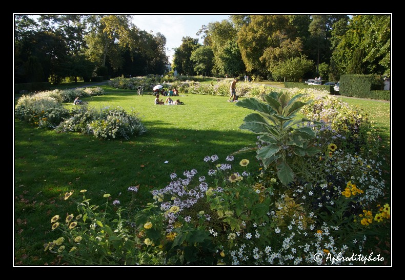 165 Jardin Perle du Lac